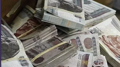  منحة العمالة غير المنتظمة 2026.. استعلم بالرقم القومي الآن