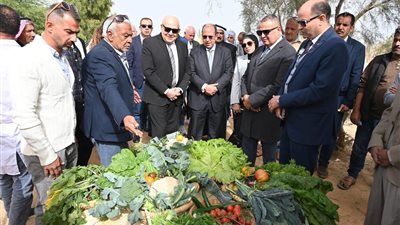 الجامعة البريطانية بمصر تحول المخلفات الزراعية لعلف حيواني في جنوب سيناء