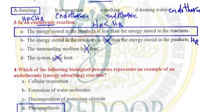 حل أسئلة تقييم الأسبوع الرابع العلوم المتكاملة لغات الصف الأول الثانوي 