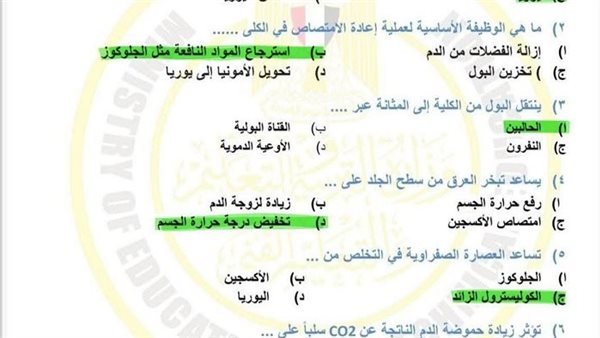 الصف الأول الثانوي    