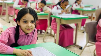 الأزمات التعليمية    