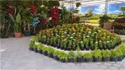 موعد افتتاح معرض زهور الربيع 2026 بالدقي رسميًا وأهم التفاصيل