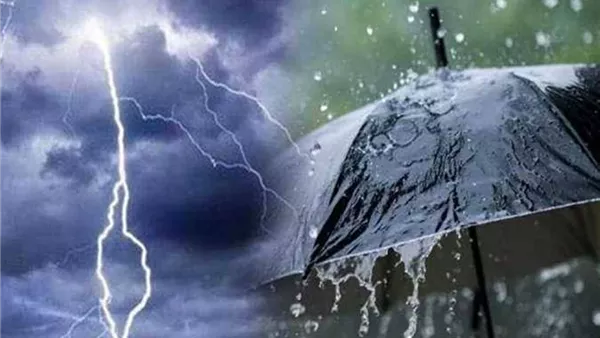 حالة الطقس غدًا    