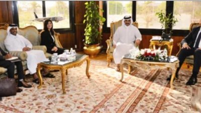 مصر تتجه لإنتاج وقود الطائرات المستدام.. تعاون مصري قطري 