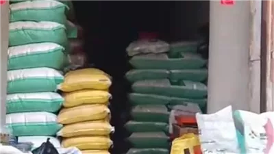 أسعار أعلاف التسمين اليوم هل الوقت مناسب للشراء