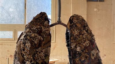 ورشة فنية بجامعة الأقصر تحول مخلفات البيئة إلى رسائل توعوية ضد التدخين