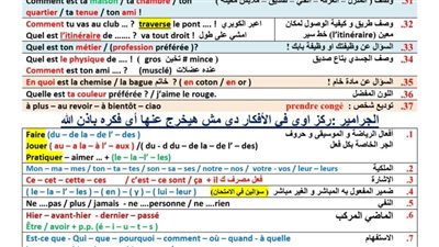 ملخص منهج اللغة الفرنسية في 6 ورقات لـ الثانوية العامة 2026