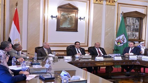 مجلس جامعة القاهرة    