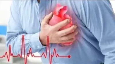 نبض الحياة في خطر.. كيف تتشكل أمراض القلب؟
