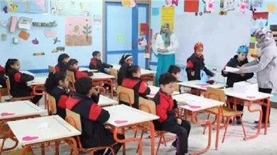 المدارس المصرية اليابانية    