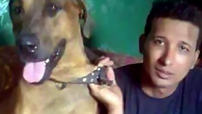 فيديو.. صاحب