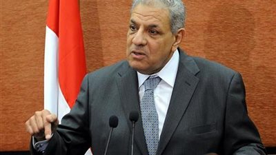 فيديو.. محلب للمواطنين: اتحدوا فامتنا العربية تتعرض لهجمة إرهابية شرسة.