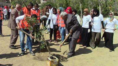 نائب رئيس جامعة القناة يتقدم حملة تشجير احياء الإسماعيلية