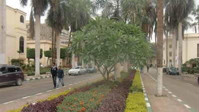 16مارس.. ورشة عمل في معمل البيولوجية الجزيئية بـ 