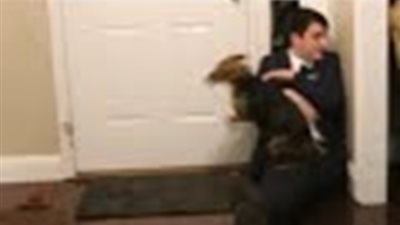 فيديو.. فرحة كلب عند لقاء صاحبة بعد فراق سنوات