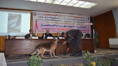 كيف تتعامل مع الاجسام الغريبة والمفرقعات بجامعة سوهاج