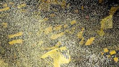 صورة وفيديو .. من هو الجمهور الأفضل في العالم ؟