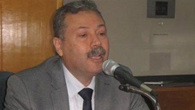 الرافعي: نستعين بخبرات 3 دول لتطوير التعليم في مصر

