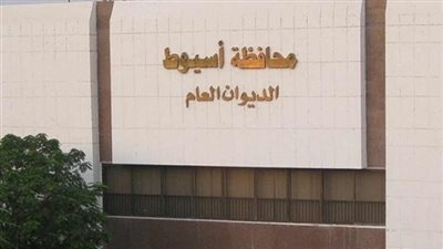 مركز معلومات أسيوط ينظم دورة عن 