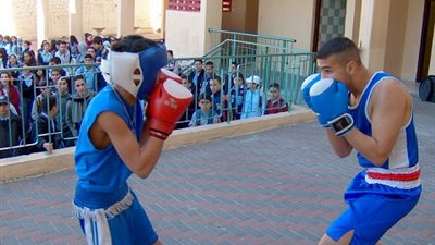 غدا .. نهائيات بطولة الجمهورية للملاكمة لطلاب المرحلة الثانوية