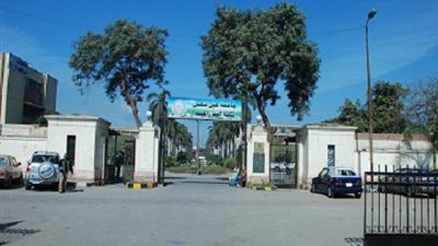 جامعة عين شمس تستضيف الملتقى السنوى التوظيفى لكلية الزراعة