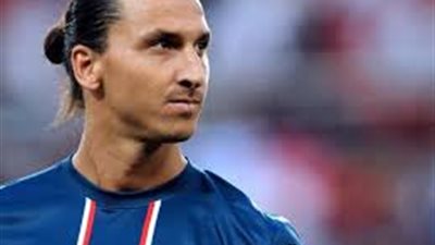 باريس سان جيرمان بطلاً للدورى الفرنسي