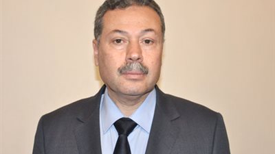 الرافعي: القانون الجديد يمنح المعلم حوافز ومكافآت أعلي