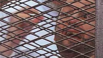 جامعة القاهرة: فصل القياديين الإخوانيين باسم عودة وصلاح سلطان لصدور أحكام جنائية ضدهما