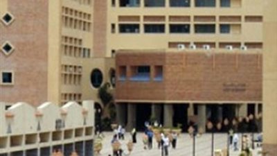 الجامعات الخاصة: زيادة أعداد كلية الفنون والتصميم بجامعة فاروس إلى 350 طالبا