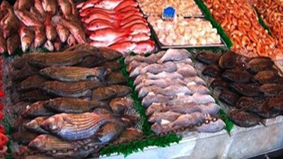 ارتفاع أسعار الأسماك في أحد الحلقات بالعجوزة