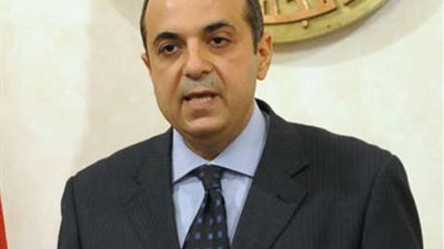 بالفيديو.. مجلس الوزراء لـ