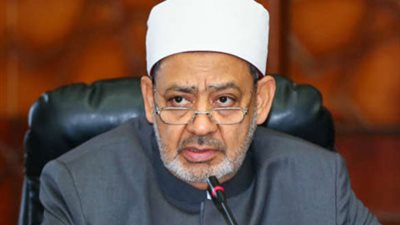 الطيب: البعض يسعى لتحميل الإسلام جرائم 