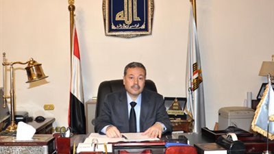 الرافعي: نعمل علي تقليل اغتراب الـ 