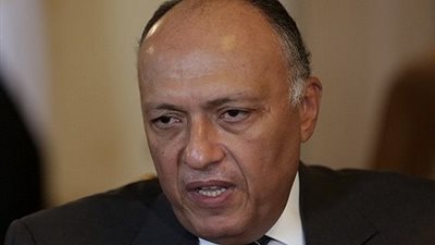 إصدار 130 ألف جواز سفر مميكن جديد للمصريين في الخارج
