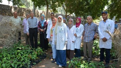 زراعة شتلات المانجو بأيدي طلاب جامعة أسيوط ضمن مشروع غرس الأشجار المثمرة
