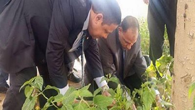 وكيل تعليم دمياط يمنح طلاب الثانوية شهادات تقدير ويزرع مجموعة الأاشجار خلال جولتة بالمدارس