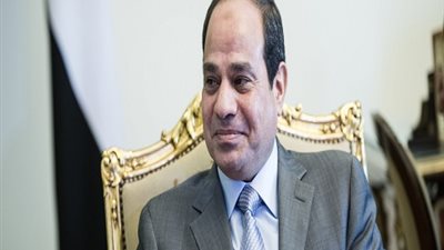 السيسى يعتمد إجراءات تنفيذ 