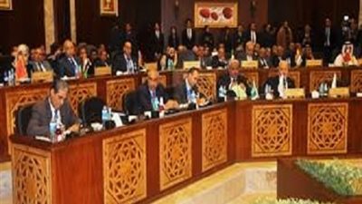 الشيحى: تمويل التعليم العالى صداع فى رأس الحكومة