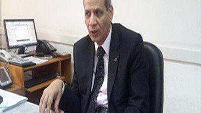 الهلالى: الحبس أو الغرامة لمن يتورط فى 