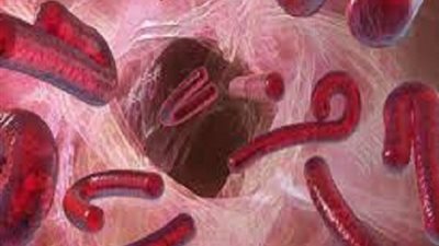 نكشف حقيقة الدول الكبرى فى صناعة الفيروسات لتدمير العالم