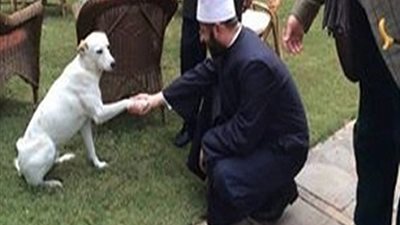 الافتاء ترد على مهاجمى الأزهرى.. الكلب 