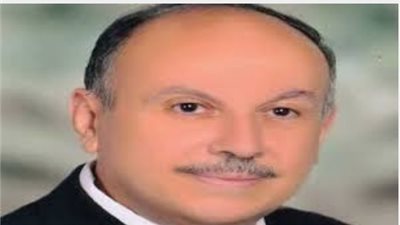 نائب وزير التعليم العالى: التعاون بين مصر والصين فى المجال العلمى من قديم الأزل