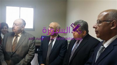 الشيحى: إنشاء معهد بحوث الإلكترونيات لدعم الاقتصاد