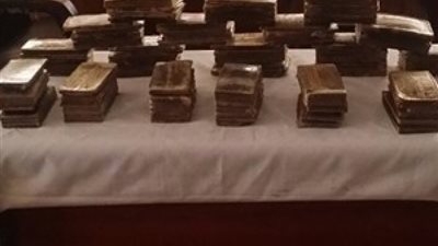 القبض على عامل وفلاح بـ 133قطعة حشيش مخدر للإتجار بأسيوط