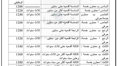 ننشر جدول الاجور فى مقترح قانون الوظيفة الجديد البديل لقانون الخدمة المدنية
