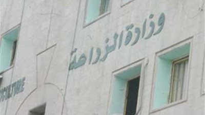 وزارة الزراعة تعلن عن وظائف كبرى للمؤهلات العليا.. ننشر الشروط والتفاصيل