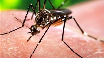 الصحة تكشف عن حقيقة وجود فيروس 