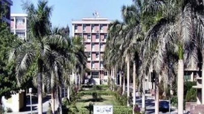 زراعة أسيوط تنفى وجود فساد مالى وإدارى فى مزارعها