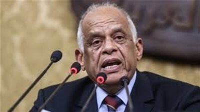 عبدالعال: اجراءات اسقاط عضوية عكاشة.. دستورية