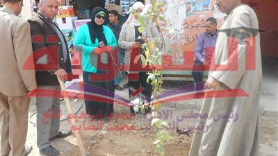 حملة لتشجير المدن و القرى بأسيوط